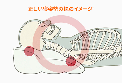 正しい寝姿勢の枕のイメージ