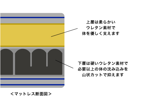 密度の異なる２層構造